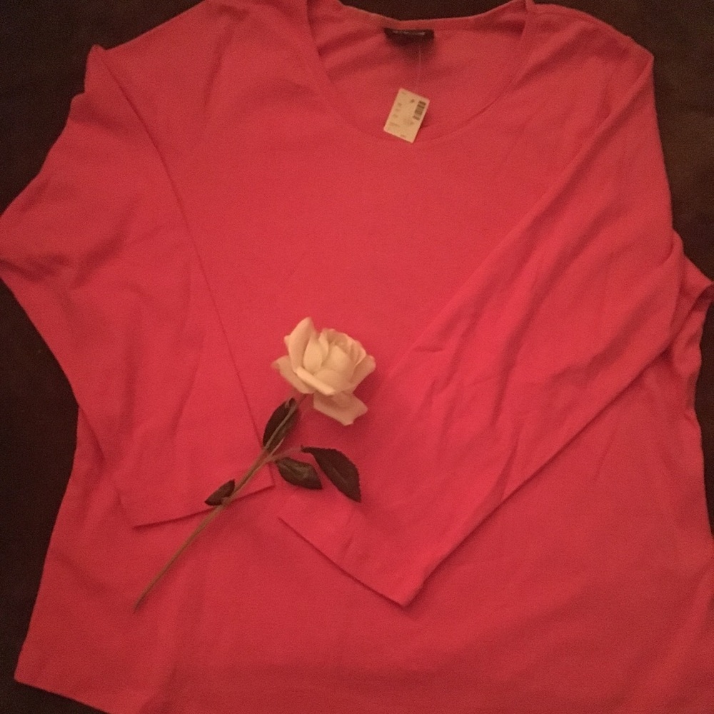 Long-sleeve plus size pullover type shirt.